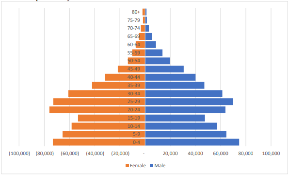 population size Population size